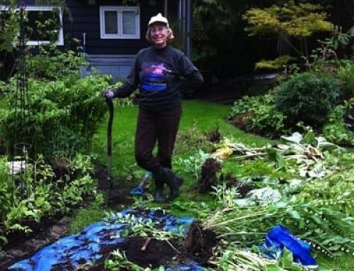 The Benefits of Fall Planting