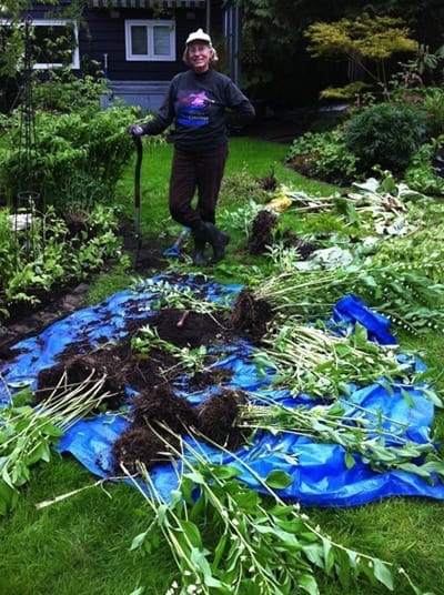renovate woman outside gardening
