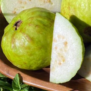 Psidium guajava ‘Tropical White’ – Pink Guava Psidium Guajava Tropical White - Pink Guava